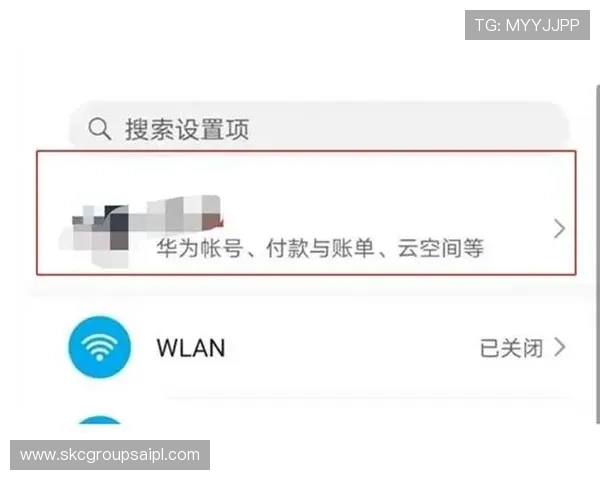 尊龙时凯官方网站入口：官方入口的登录步骤详解与账号安全保护措施